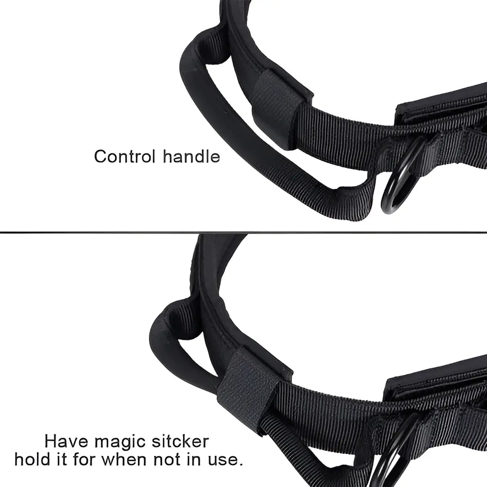 COLLAR TACTICO REFORZADO WONDER DOG T/M