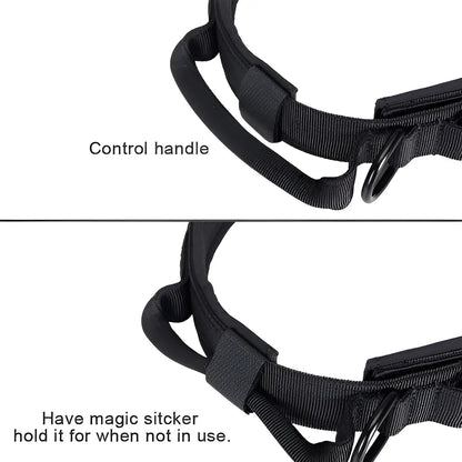 COLLAR TACTICO REFORZADO WONDER DOG T/M