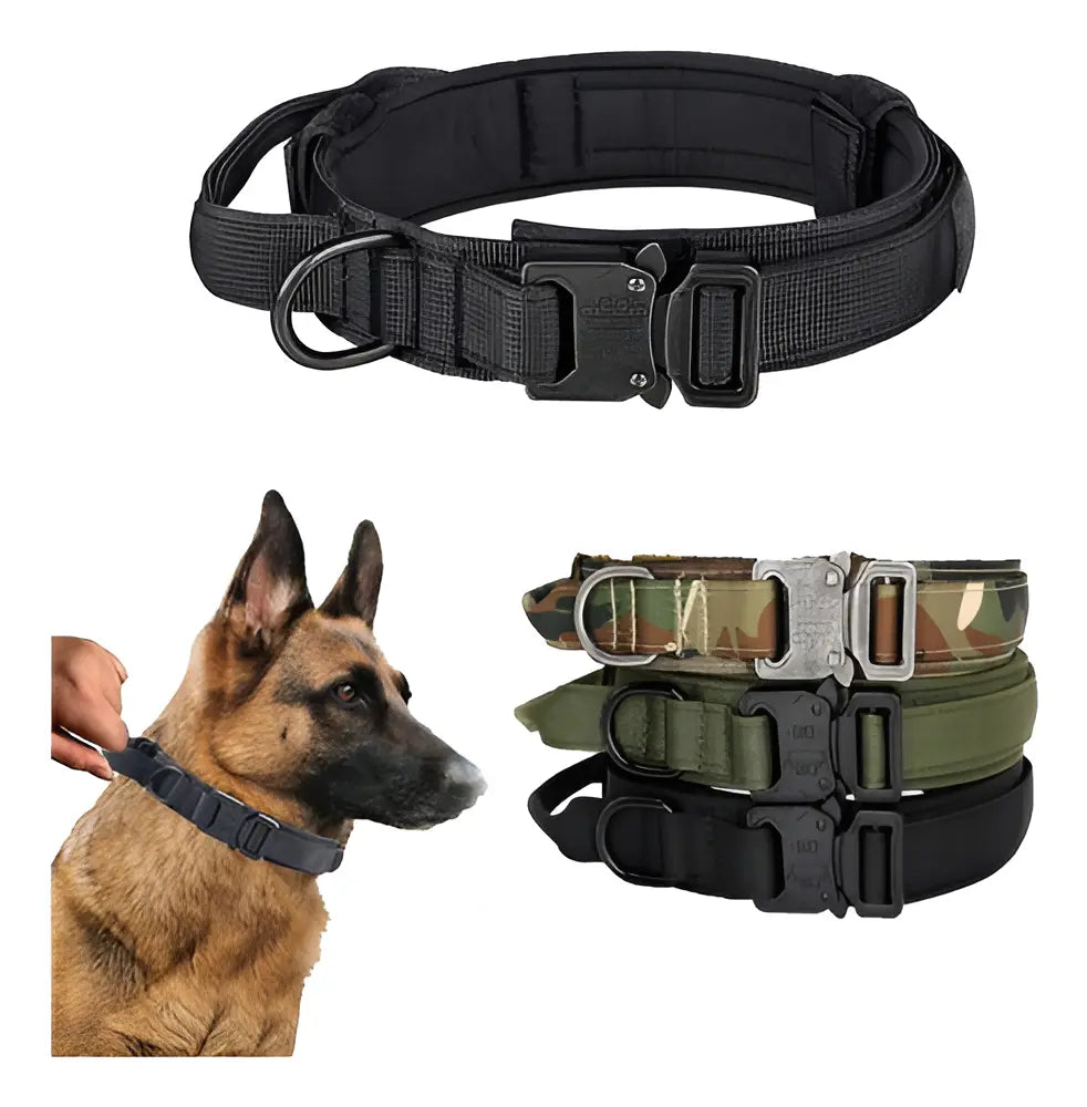 COLLAR TACTICO REFORZADO WONDER DOG T/M