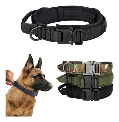 COLLAR TACTICO REFORZADO WONDER DOG T/M