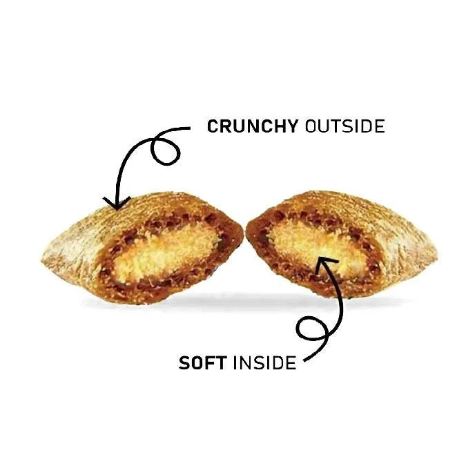 DENTALIGHT OMEGAS CRUNCHY CAT 60GR