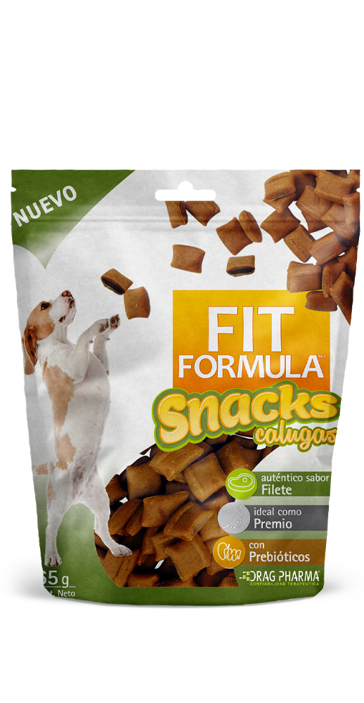 FIT FORMULA SNACKS CALUGAS 65GR