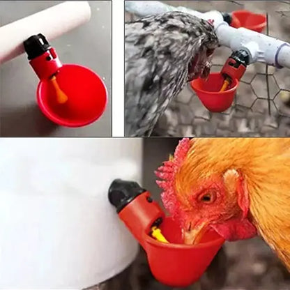 SET DE 10 BEBEDEROS COPA DIRECTO PARA AVES DE GRANJA