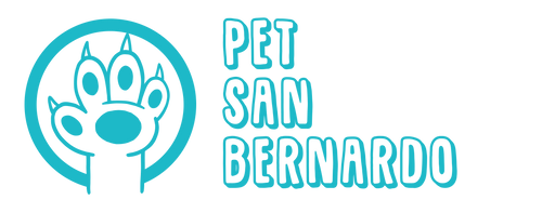 Pet San Bernardo