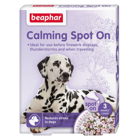 CALMING SOPT ON