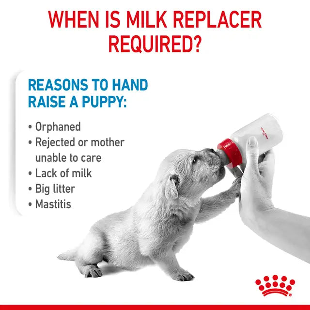 ROYAL CANIN BABYDOG MILK