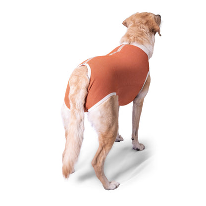 BODY COBRE POST-QUIRÚRJICO PARA MACHOS