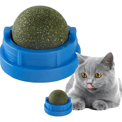 BOLA DE CATNIP CON ADHERENTE PARA PARED 25GR