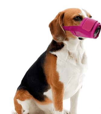 BOZAL NYLON AJUSTABLE CON VELCRO