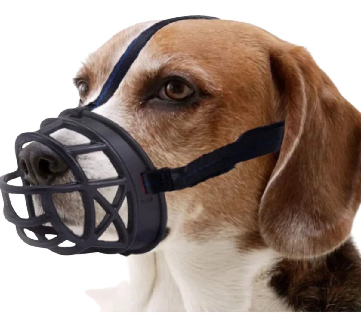 BOZAL TIPO BASKERVILLE