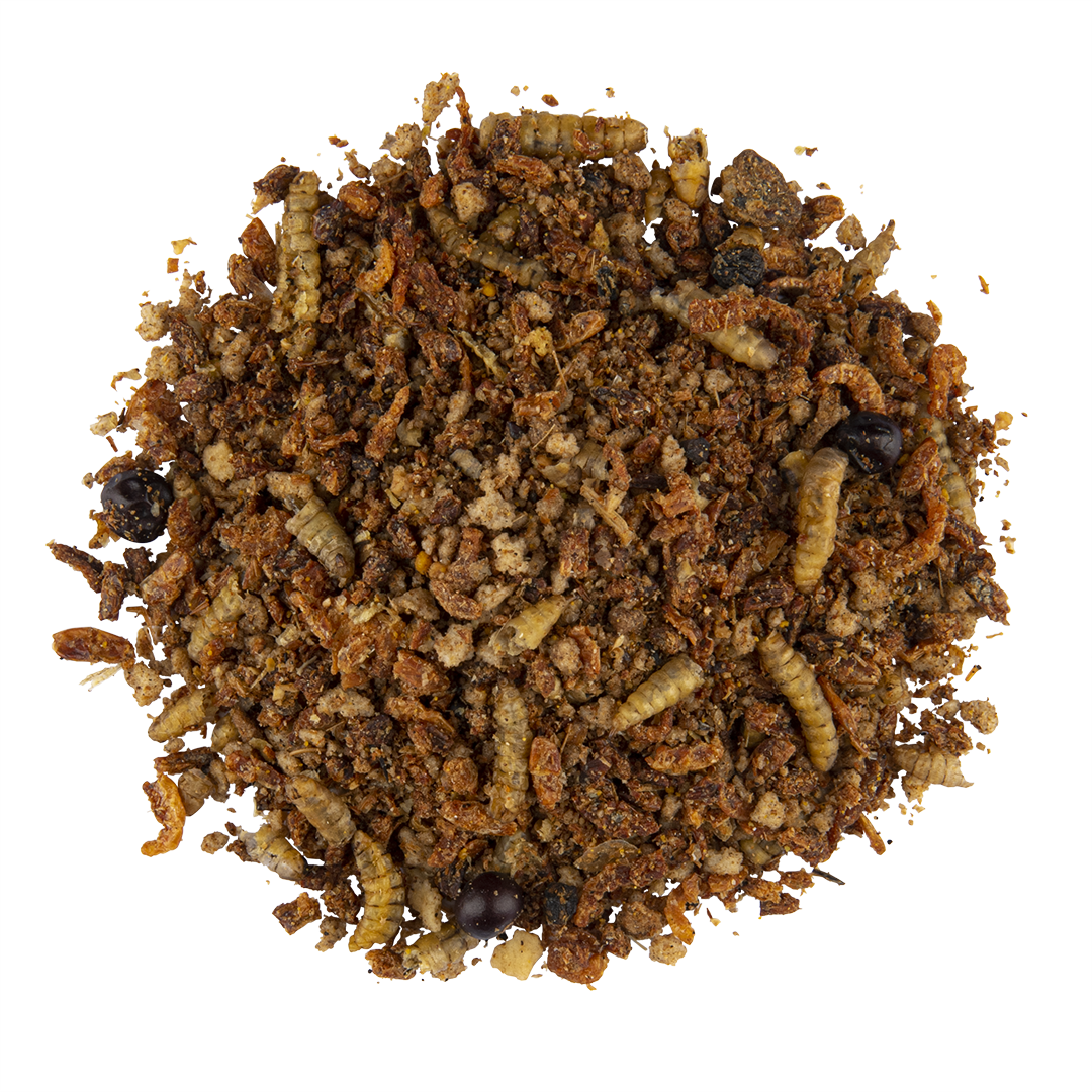 CÉDÉ INSECT FOOD 600GR