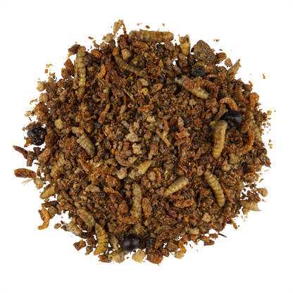 CÉDÉ INSECT FOOD 600GR