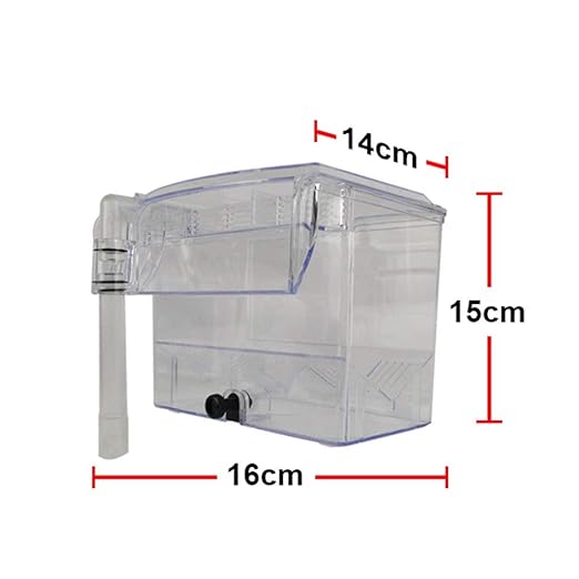 CRIADORA DOPHIN BB11