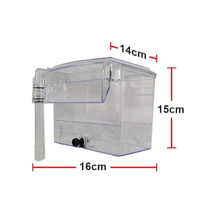 CRIADORA DOPHIN BB11