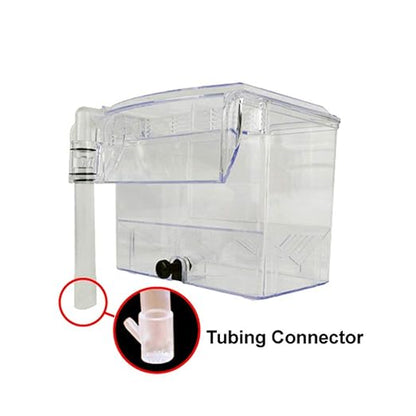 CRIADORA DOPHIN BB11