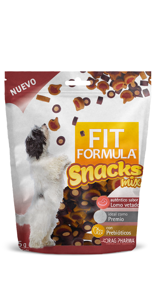 FIT FORMULA SNACKS MIX 65GR