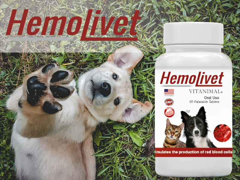 HEMOLIVET COMPRIMIDOS