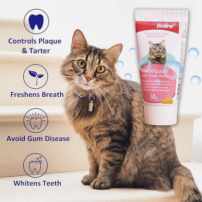 SET HIGIENE DENTAL PARA GATOS