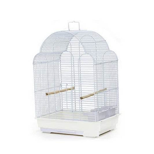 JAULA AVE OVAL GRANDE 700A