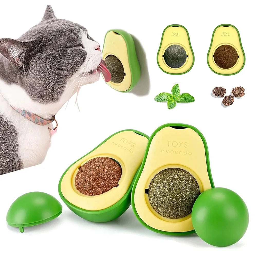 PALTA DE CATNIP CON ADHERENTE PARA PARED 25GR