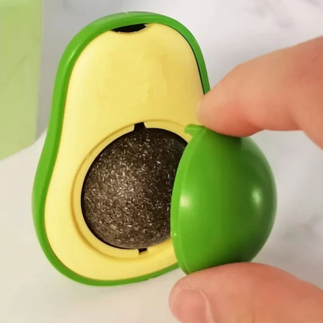 PALTA DE CATNIP CON ADHERENTE PARA PARED 25GR