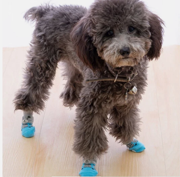 CALCETINES PARA PERROS ANTIDESLIZANTES T/S