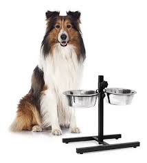 PLATOS DE ALTURA AJUSTABLE WONDER DOG