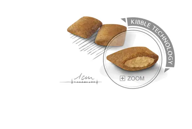 ROYAL CANIN MINI EXIGENT 3KG