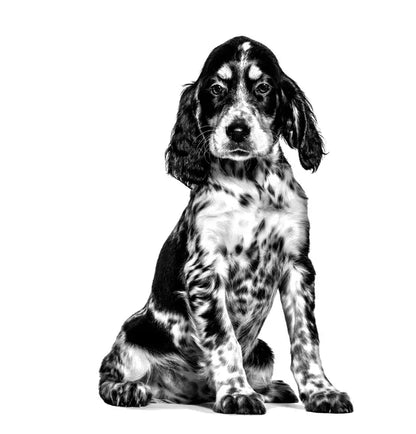 ROYAL CANIN GASTROINTESTINAL PUPPY LATA 195GR