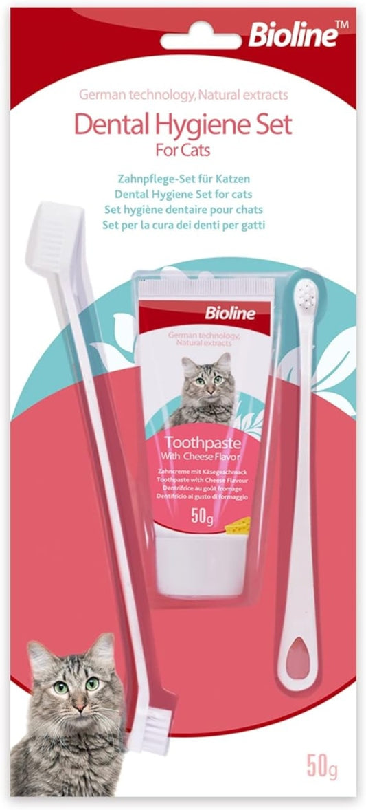 SET HIGIENE DENTAL PARA GATOS
