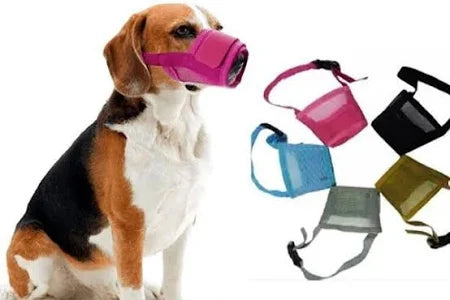 BOZAL NYLON AJUSTABLE CON VELCRO